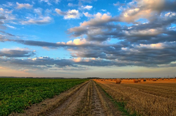 imprese agricole