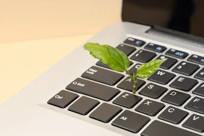 Green Job - Perché Scegliere i Servizi di Consulmarc Sviluppo per i “Green Job”