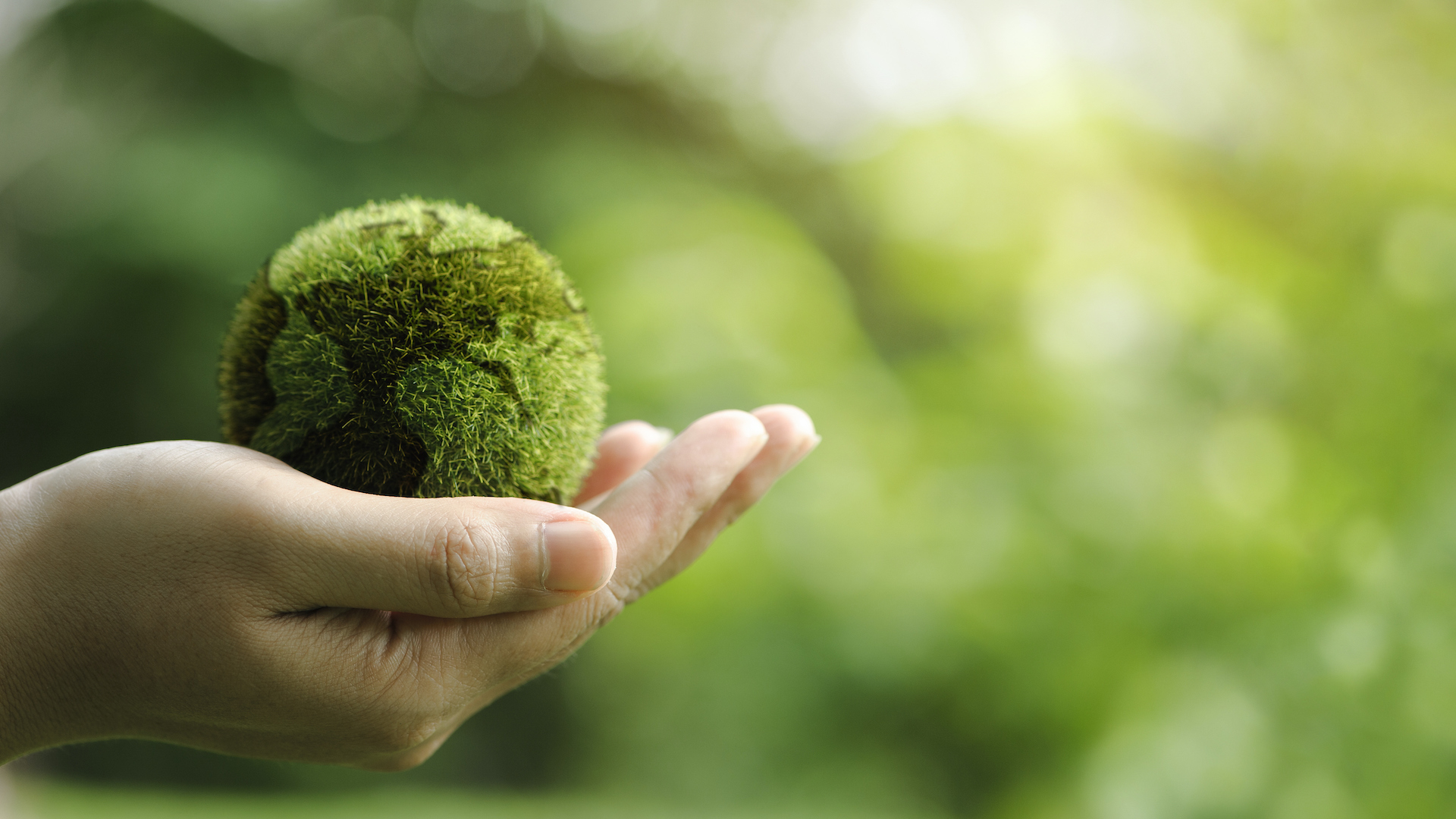 Sensibilizzazione ambientale in Italia: la transizione ecologica tra consapevolezza e mancanza di informazioni. Ecco quanto emerge dal Pulsee Luce & Gas Index