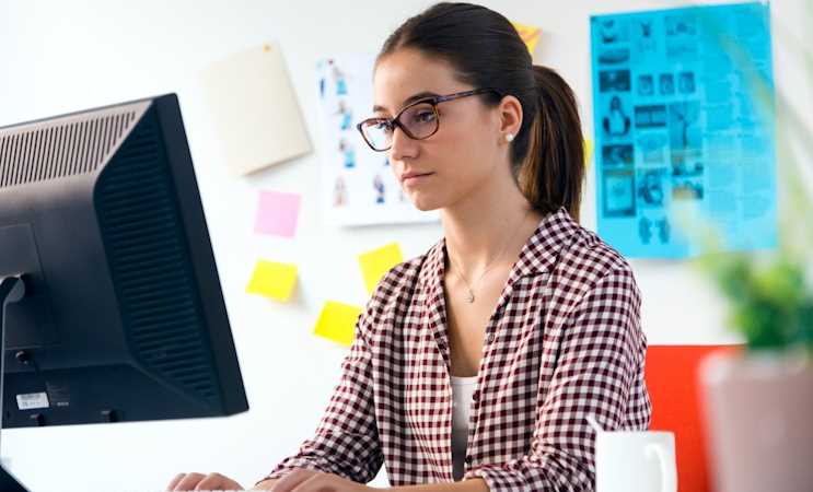 WEB DEVELOPER
