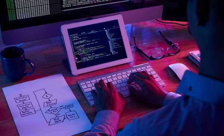 WEB DEVELOPER
